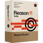 SSL 2 + Reason 11 Suite - Afbeelding 8