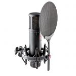 SE Electronics SE2200
