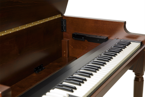 Hammond XK5 Classic Edition - Afbeelding 9