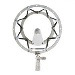 Blue Mics Radius II