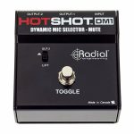 Radial Engineering HotShot DM1