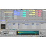 Ableton Live 12 Standard Upgrade from Live Lite - Afbeelding 2