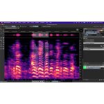 Steinberg SpectraLayers Pro 13 - Afbeelding 9