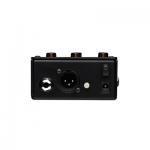 Radial Tonebone AC-Driver - Afbeelding 2