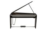 Dexibell VIVO H10 MiniGrand Black Polished