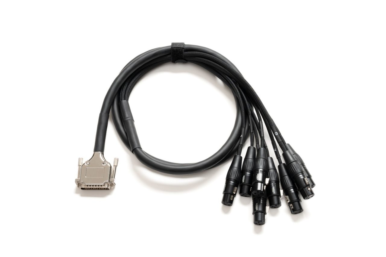 Warm Audio Premier DB25-XLRf-10' - Afbeelding 2