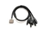 Warm Audio Premier DB25-XLRf-10' - Afbeelding 2