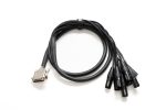 Warm Audio Premier DB25-XLRm-6'